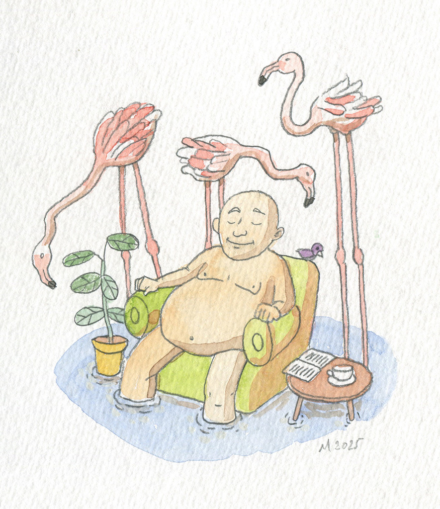 Flamingo Mann HP